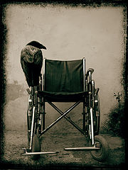 фото "never-more"