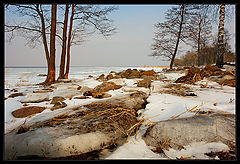 фото "Вид на Финский залив из парка Александрия - 2"