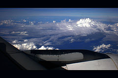 фото "flying"