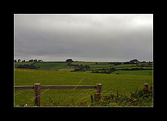 photo "Landscape with a fence"