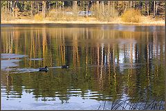 фото "Лед ушел..."