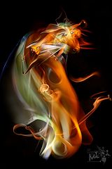 photo "8810 ("The painting of light - 2008")"