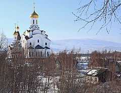 фото "В лучах весеннего солнца"