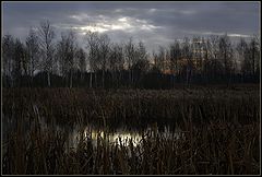 photo "Sun, fallen into the water"