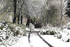photo "December"