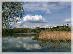 фото "Весна"