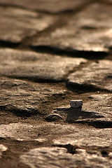 фото "Мелок"
