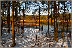 фото "Мажор весны"
