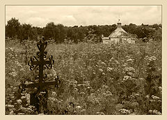 photo "***"