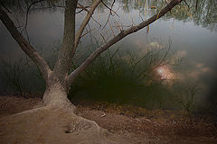 photo "***"
