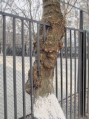 фото "Городская история"