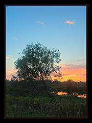 photo "***"