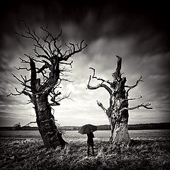 photo "***"