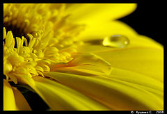 фото "***"