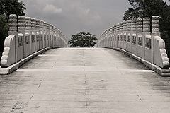 photo "what  are on the other side?"