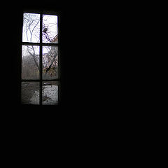 фото "..."
