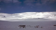 photo "Still winter"