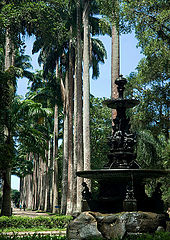 photo "Jardin Botanico"