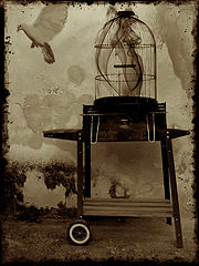 фото "Fake Free II"