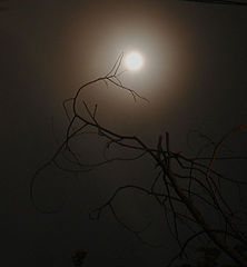 фото "Moon over Montenegro"