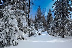 фото "Март"