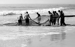photo "The Fishermen!"