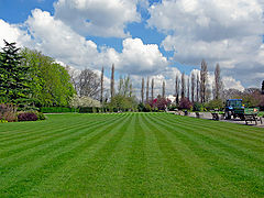 photo "The Lawn"