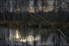 photo "Spring Rain"