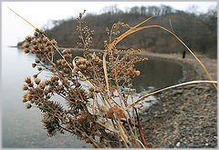 photo "Прощай ..."