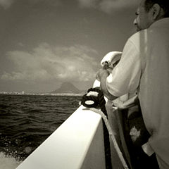 photo "The Boatman"