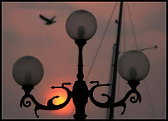 photo "The seaside motif"