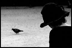 фото "poem"