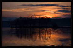 photo "***"
