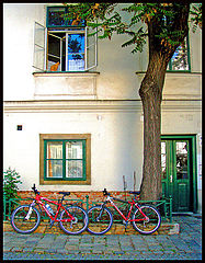 photo "Spring in Vienna"