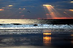 фото ". . . . . ."