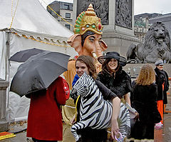 photo "Lucky Zebra Mascot"