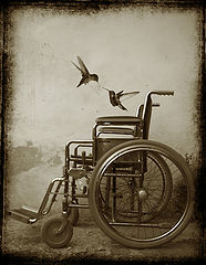 фото "moving free"