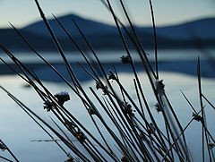 photo "Loch Morlich, Scottish Highlands"