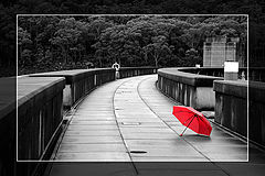 photo "That's another story about rain..."