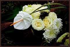 фото "white flowers for lovers"