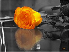 photo "***"