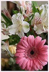 photo "Spring"