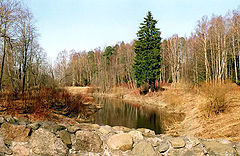 photo "One spring day..."