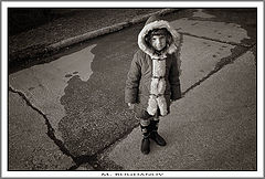 photo "***"