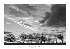 фото "***"