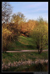 photo "***"