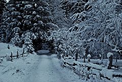 фото "....."