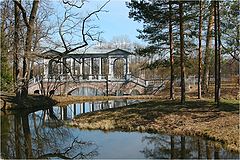 фото "Сказочный лес"