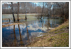 photo "***"