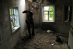 photo "***"